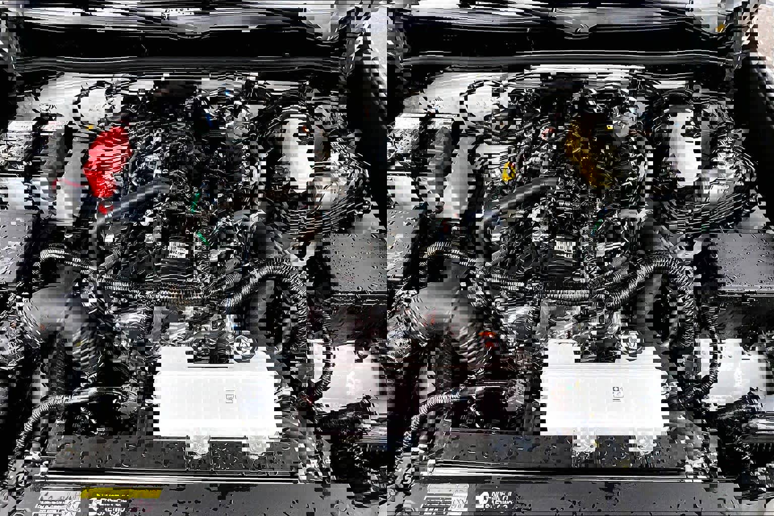 Certified 2025 Toyota 4Runner SR5 image 29