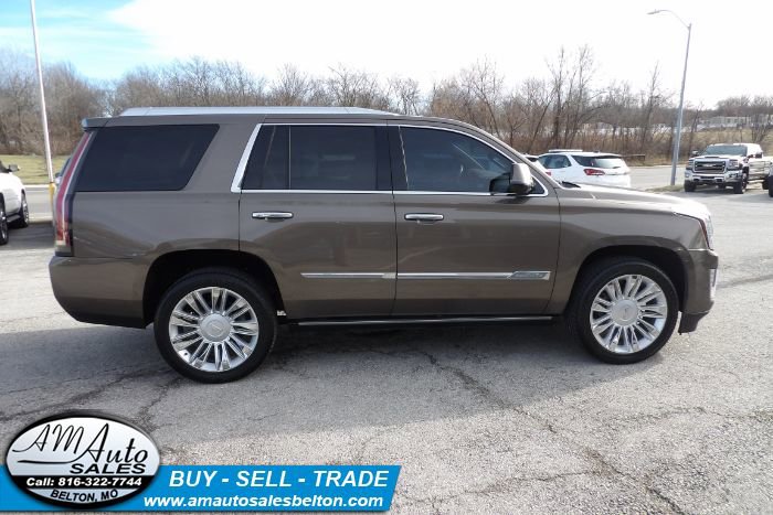 Used 2015 Cadillac Escalade Platinum image 6