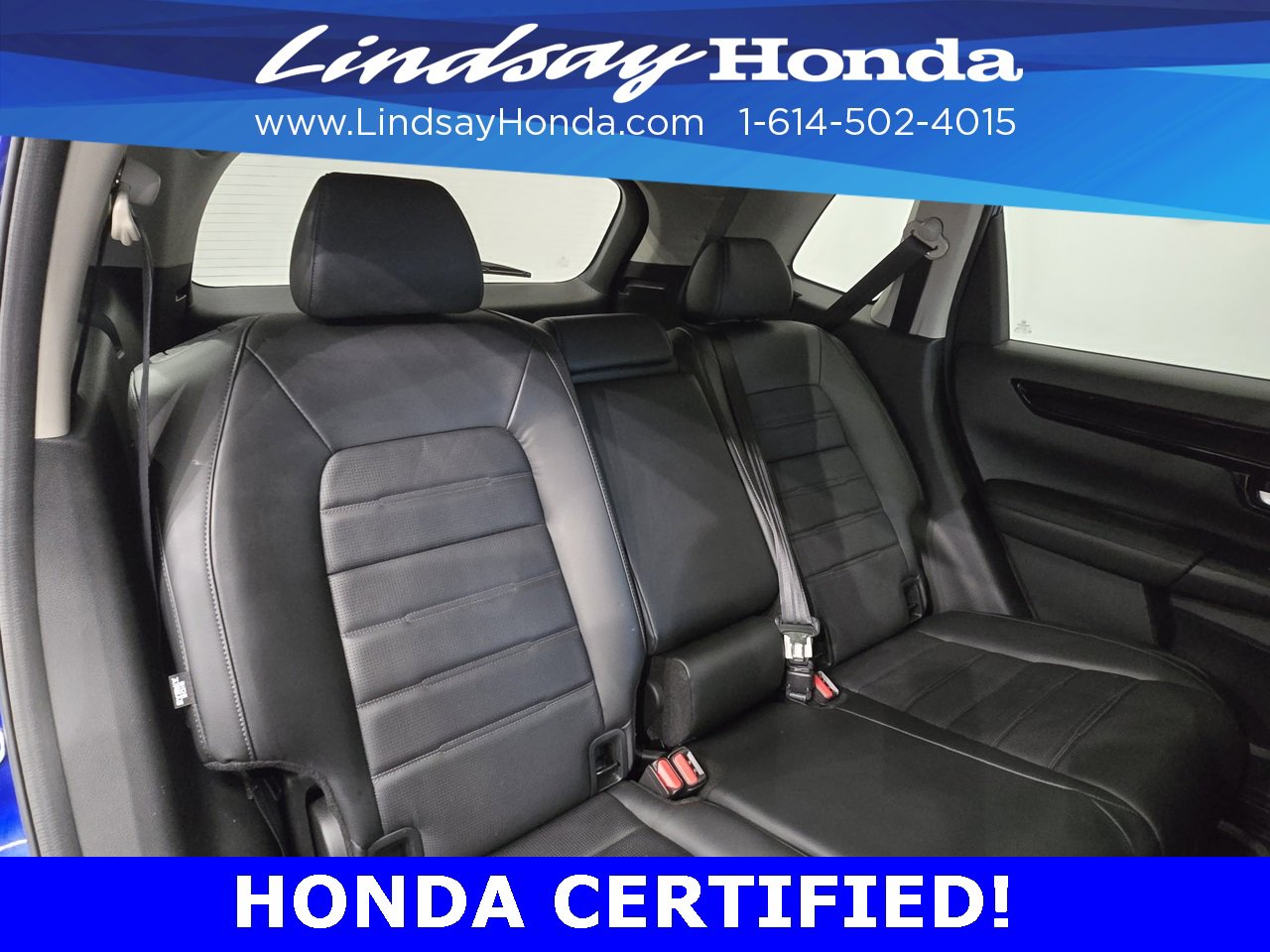 Certified 2024 Honda CR-V EX-L image 9