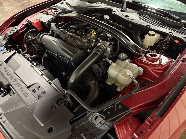 Used 2024 Ford Mustang Coupe w/ 2.3L High Performance Package image 41