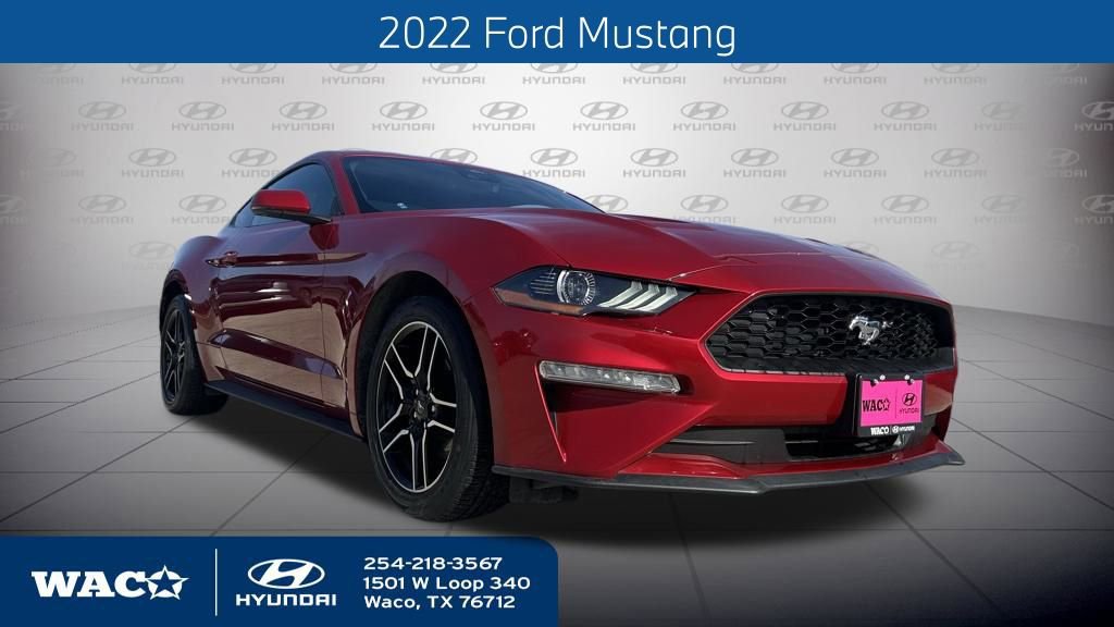 Used 2022 Ford Mustang Premium w/ Equipment Group 201A image 1
