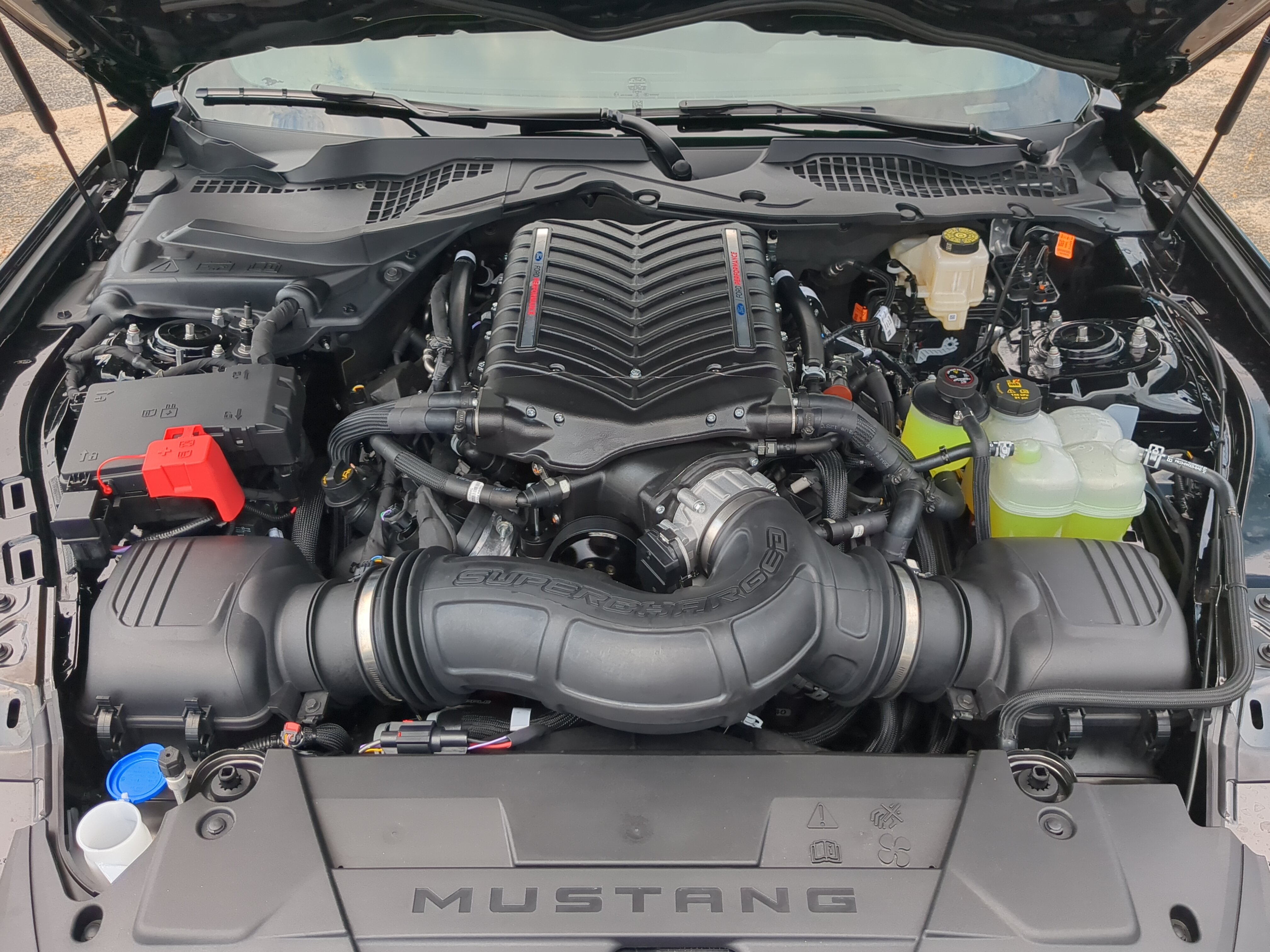 New 2026 Ford Mustang GT w/ Mustang Nite Pony Package RWD image 13