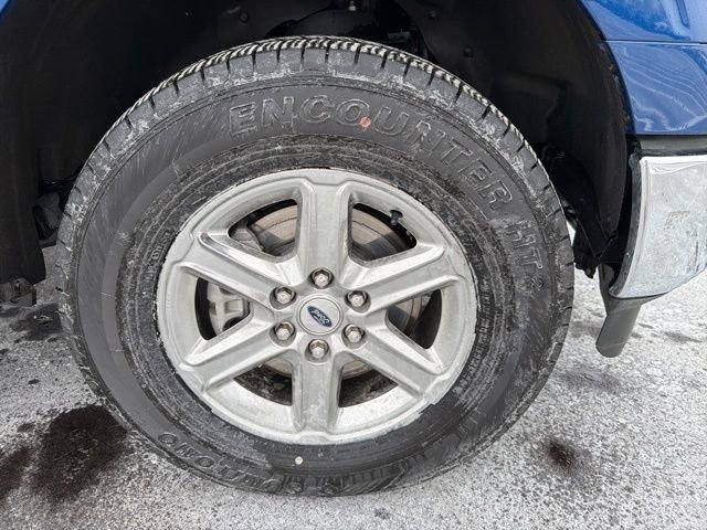 Used 2025 Ford F150 XLT w/ Equipment Group 301A Standard image 4