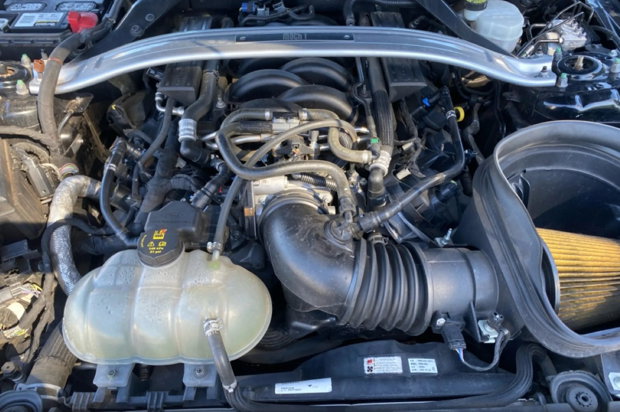Used 2021 Ford Mustang Mach 1 image 8