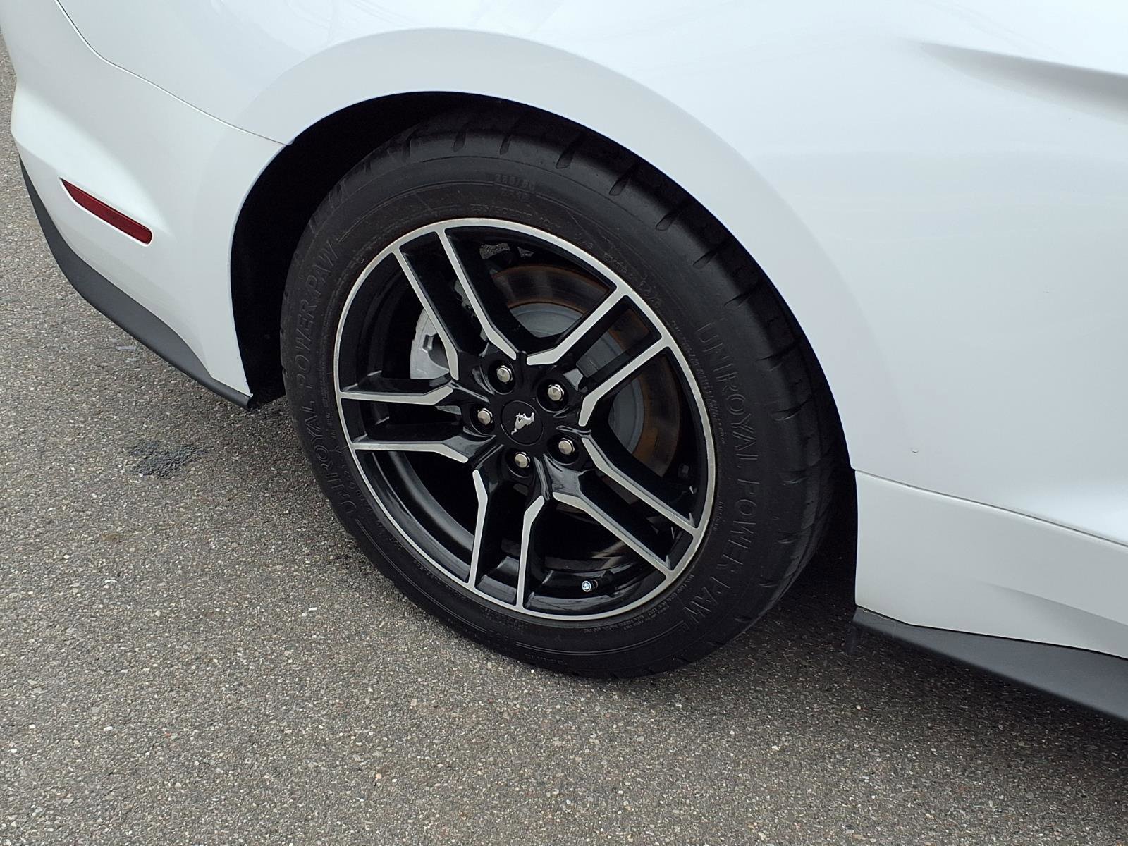 Used 2022 Ford Mustang Premium w/ Equipment Group 201A image 23