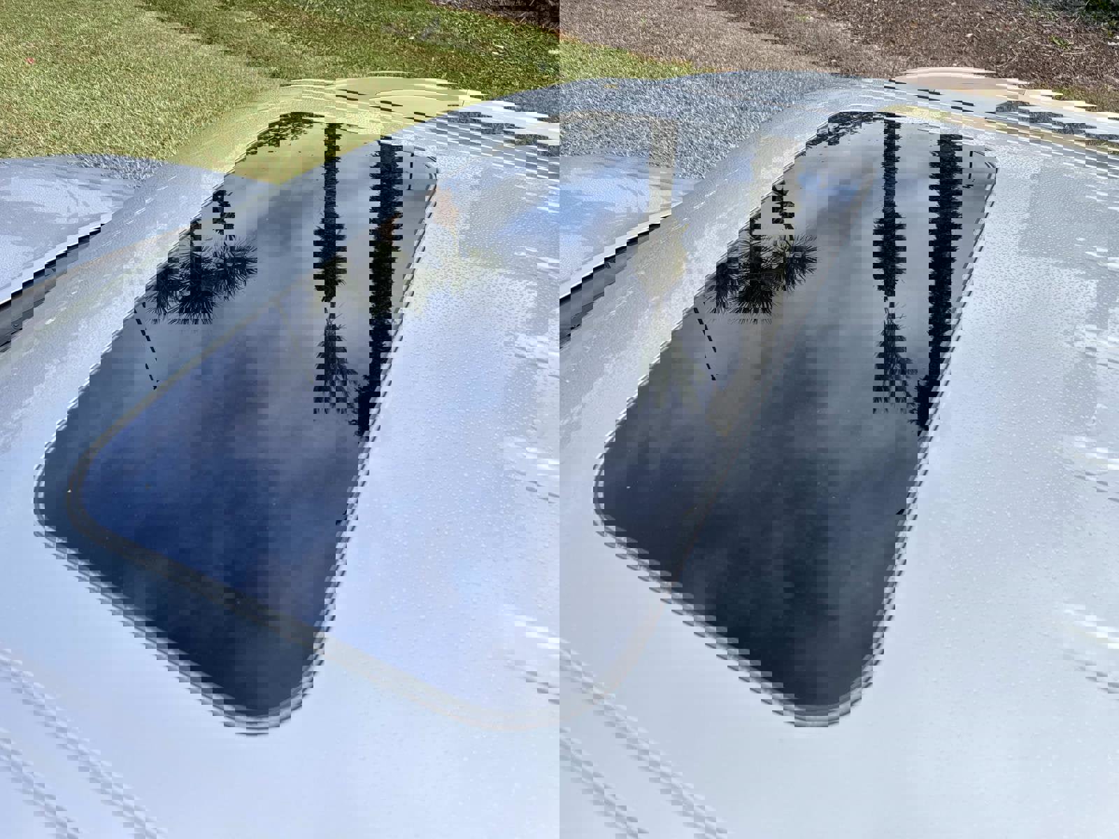 Used 2019 INFINITI QX80 Limited image 11