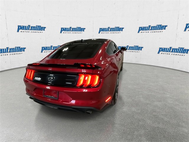 Used 2023 Ford Mustang Coupe w/ Equipment Group 101A image 10