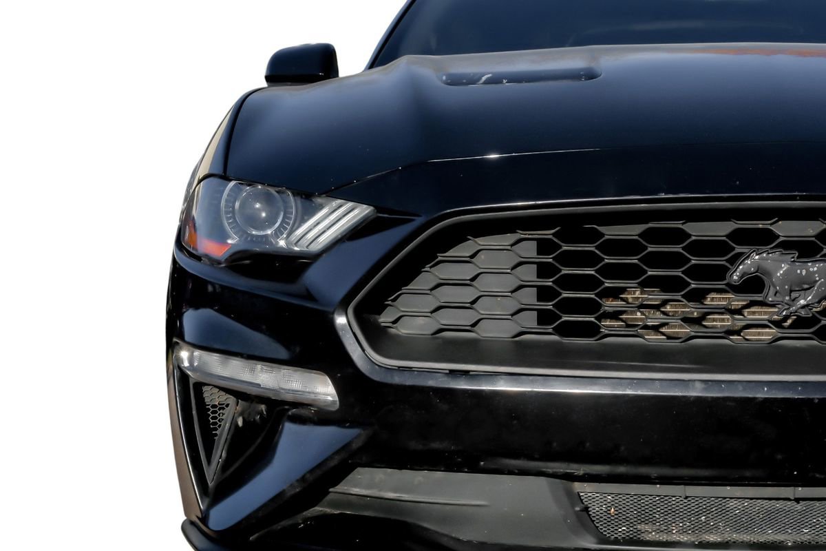 Used 2019 Ford Mustang Coupe image 40