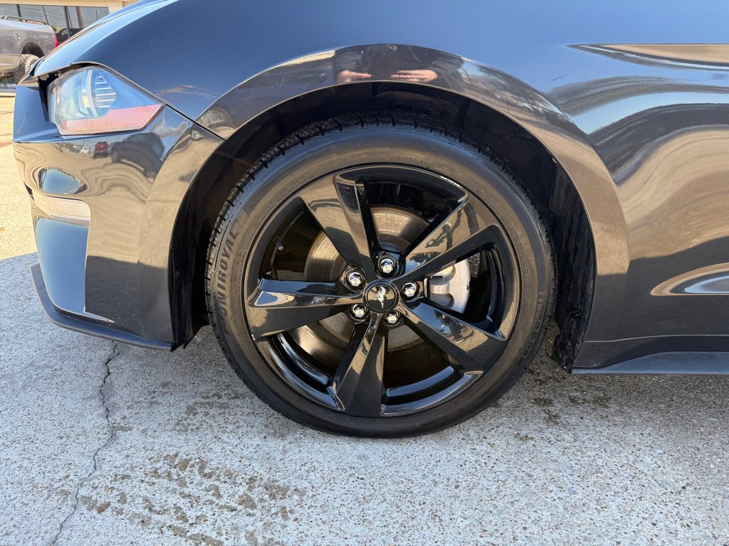 Used 2023 Ford Mustang Premium w/ Mustang Nite Pony Package image 11