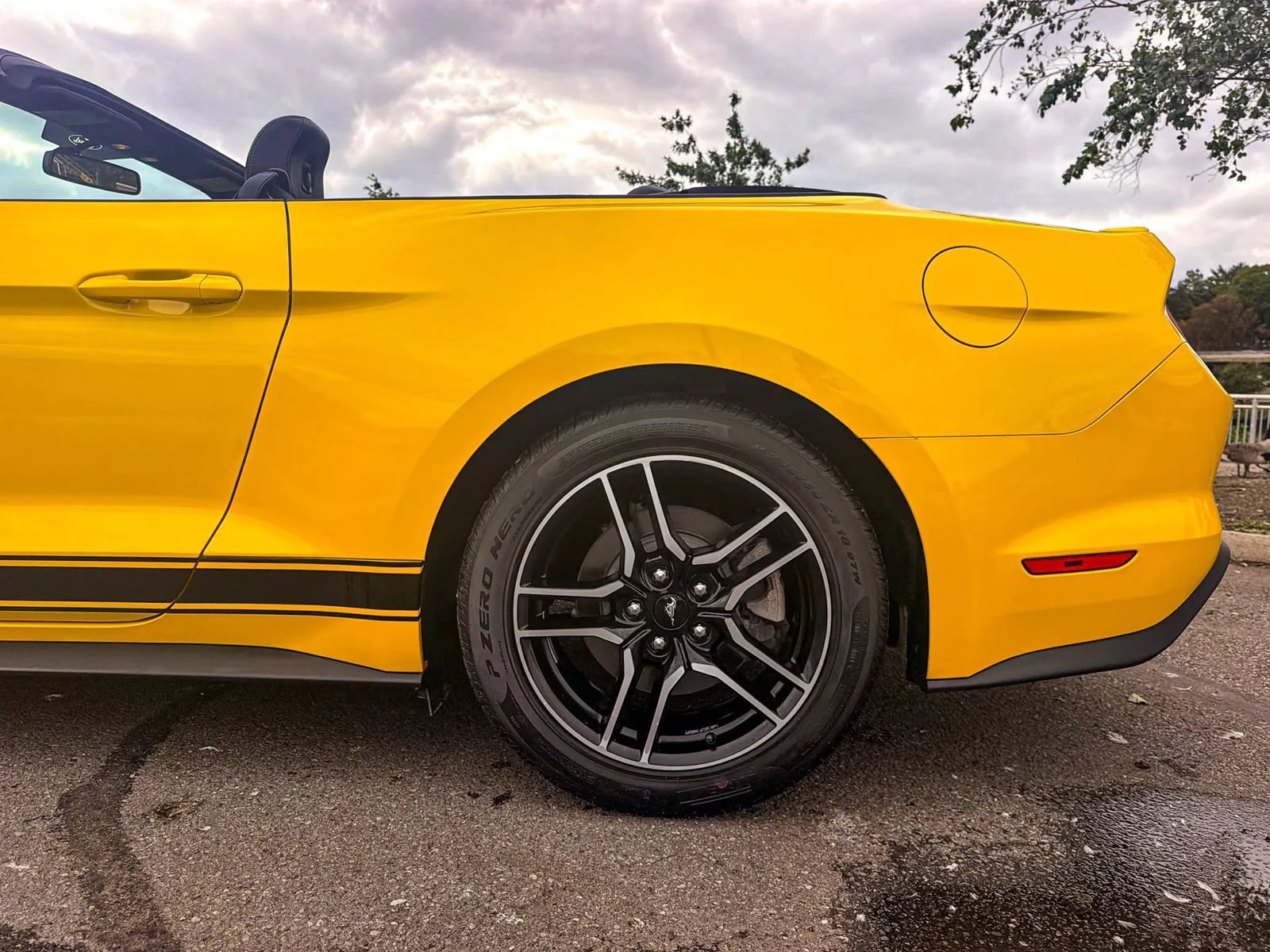 Used 2018 Ford Mustang Premium w/ Equipment Group 201A RWD image 25