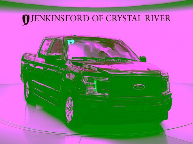 Used 2019 Ford F150 XL w/ Equipment Group 101A Mid RWD image 15