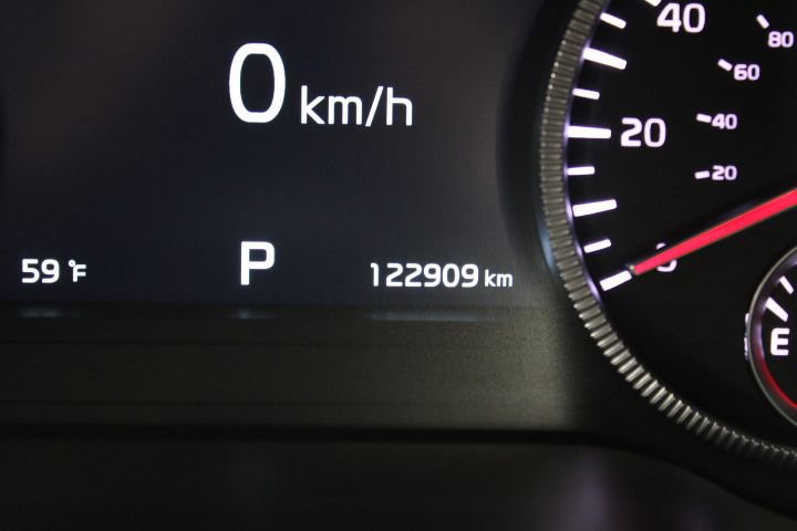 Used 2020 Kia Telluride SX image 6