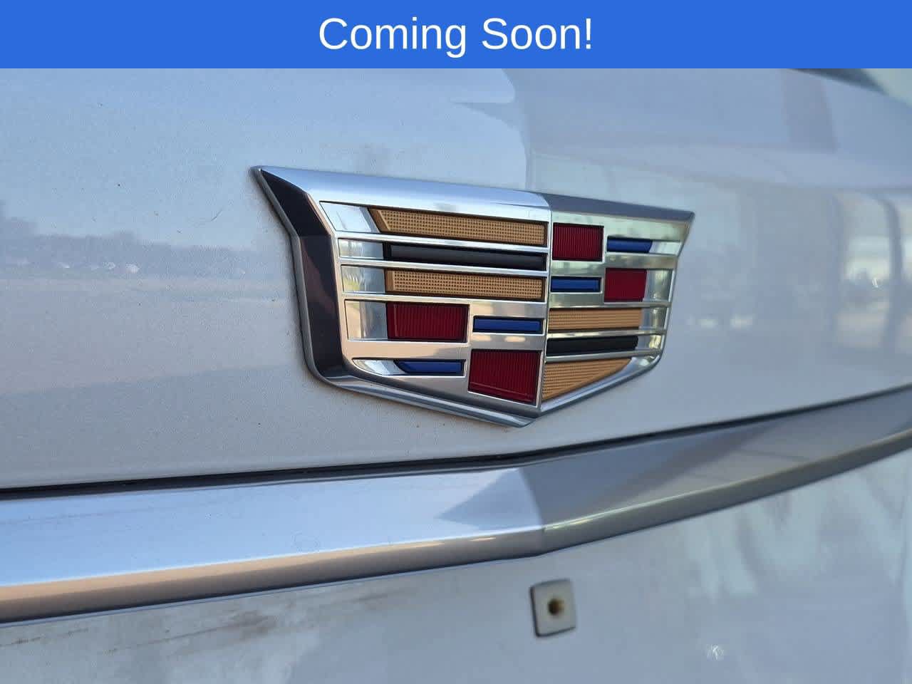 Used 2024 Cadillac XT5 Premium Luxury AWD/4WD image 11