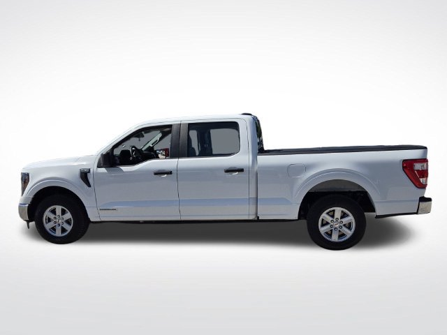 Certified 2023 Ford F150 XL w/ XL Chrome Appearance Package RWD image 6