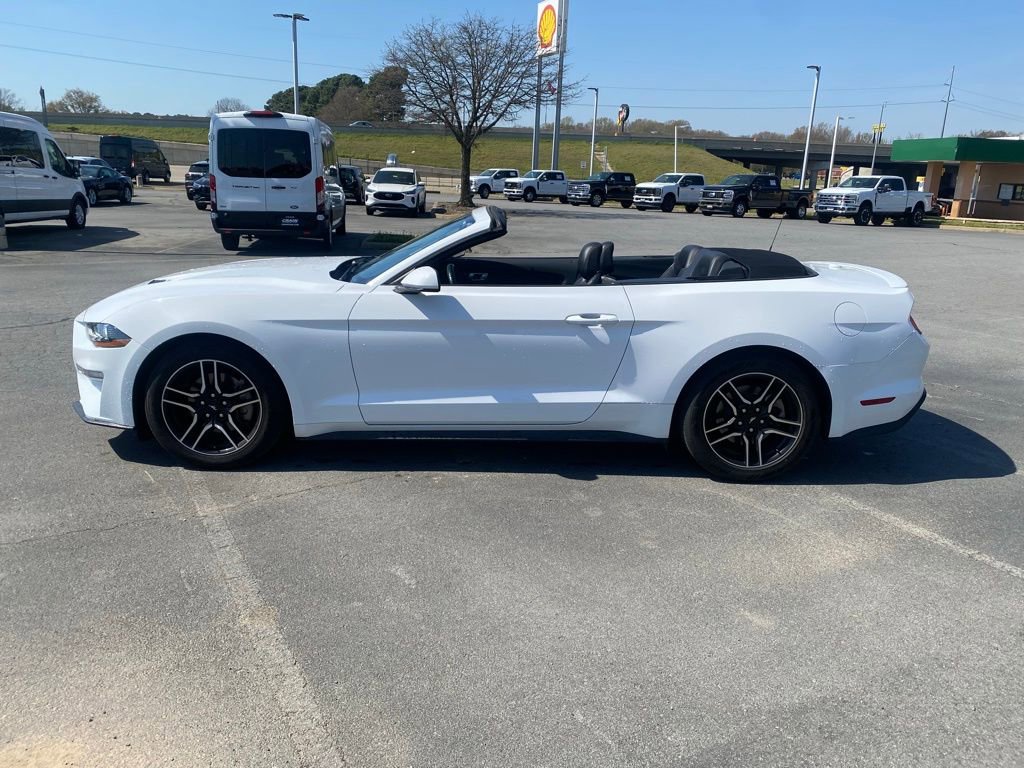 Used 2023 Ford Mustang Premium image 4