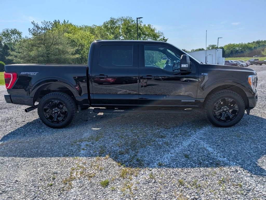Used 2023 Ford F150 XLT w/ Equipment Group 302A High AWD/4WD image 14