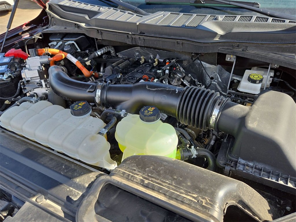 Used 2025 Ford F150 XLT w/ Equipment Group 301A Standard image 33