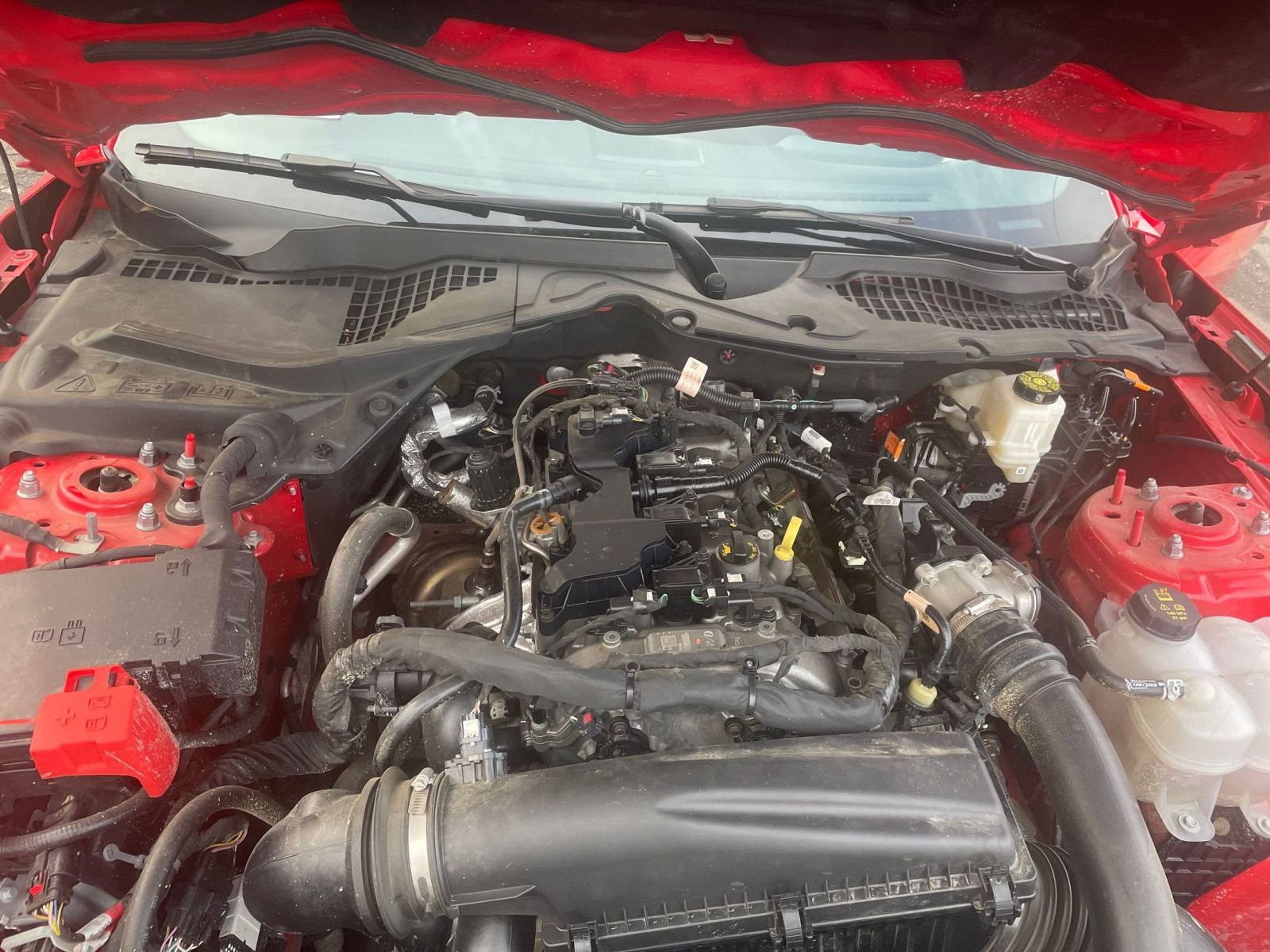 Used 2024 Ford Mustang Premium image 31