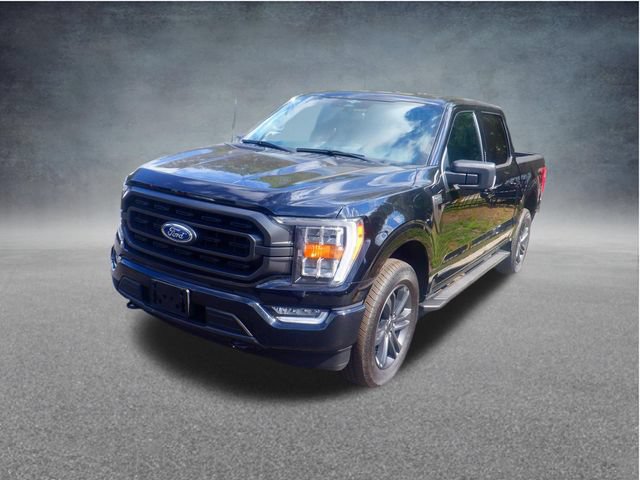 Used 2023 Ford F150 XLT w/ Equipment Group 302A High AWD/4WD image 3