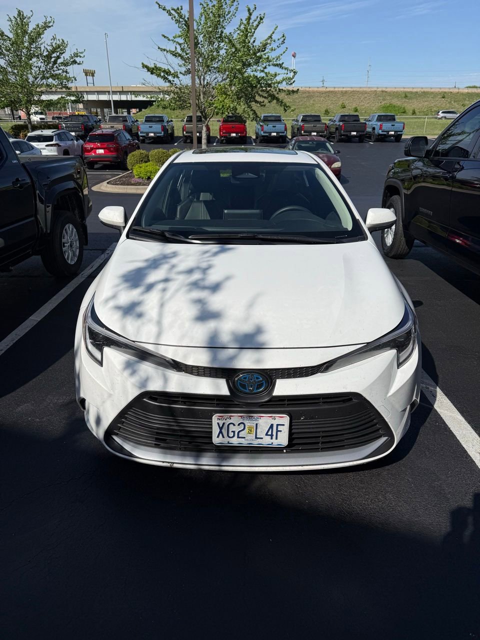 Used 2024 Toyota Corolla XLE image 2