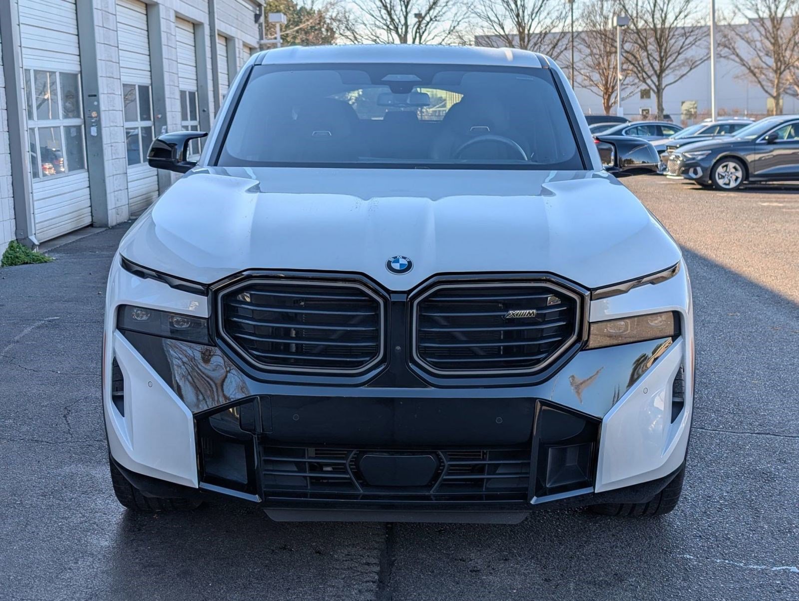 Used 2024 BMW XM image 6