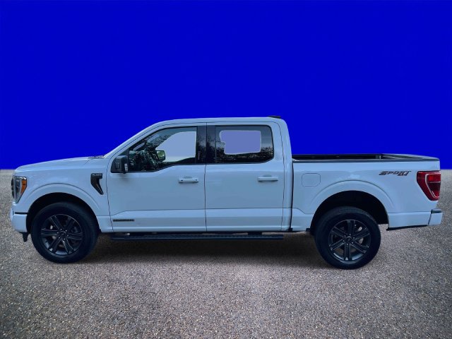 Used 2023 Ford F150 XLT w/ Equipment Group 302A High AWD/4WD image 6
