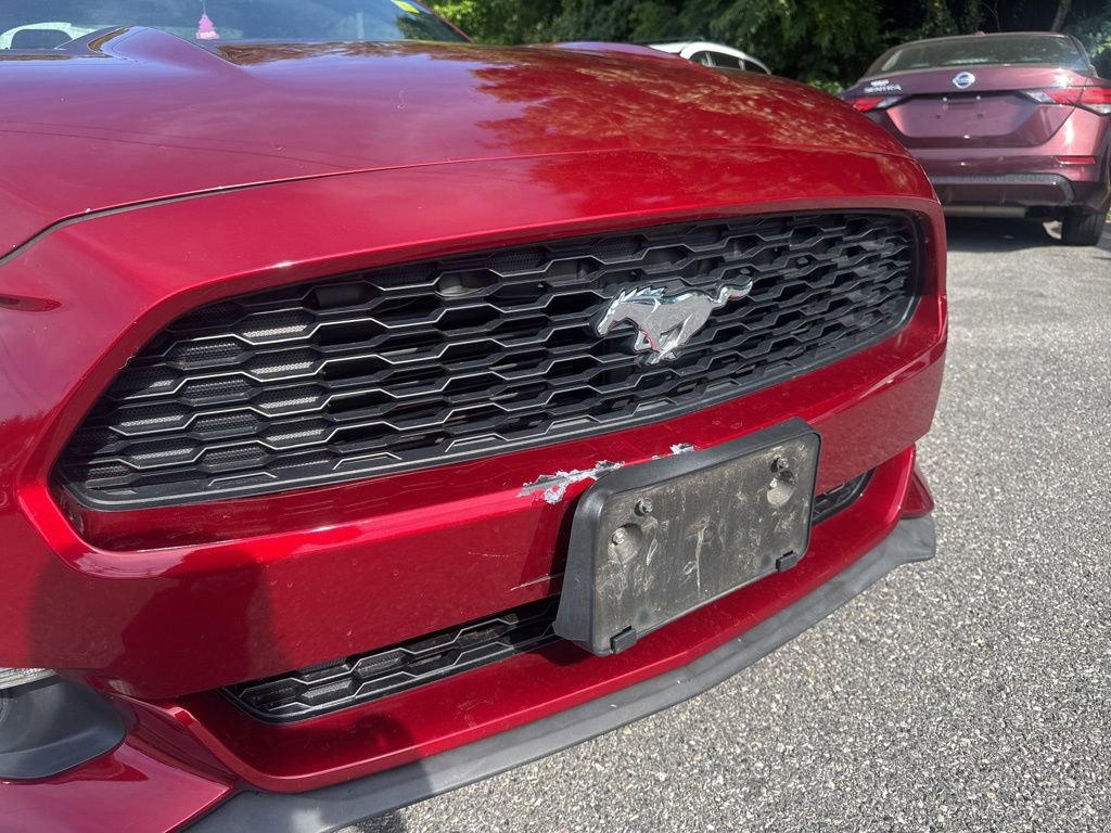 Used 2015 Ford Mustang Premium w/ Equipment Group 201A RWD image 8