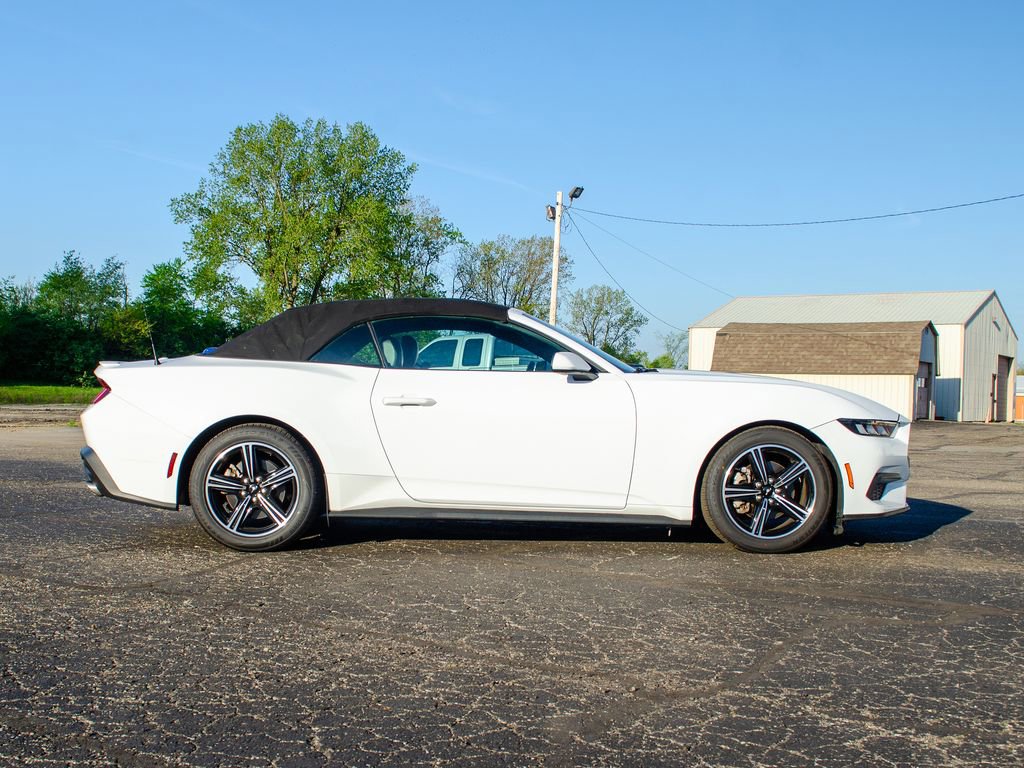 Used 2024 Ford Mustang Premium RWD image 3