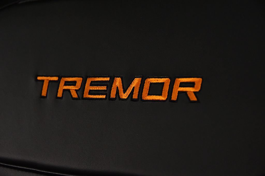 Used 2025 Ford Expedition Tremor AWD/4WD image 27