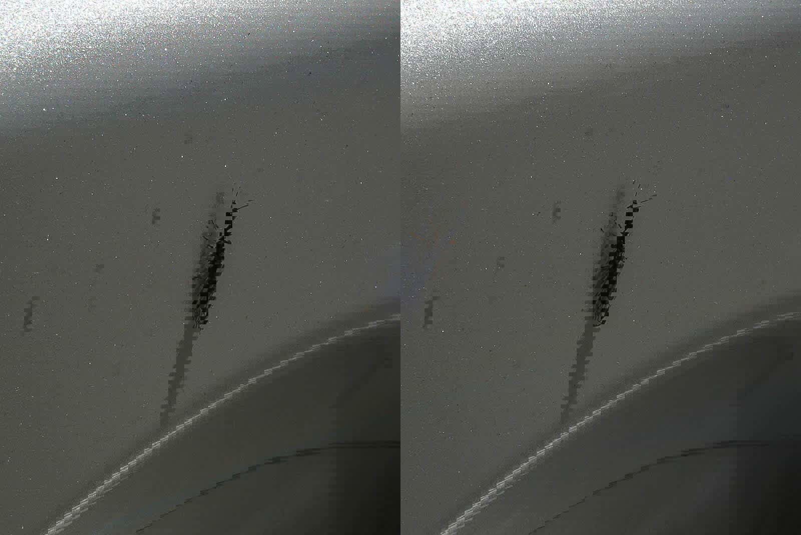 Used 2021 Lexus NX 300 FWD w/ Accessory Package 2 image 23