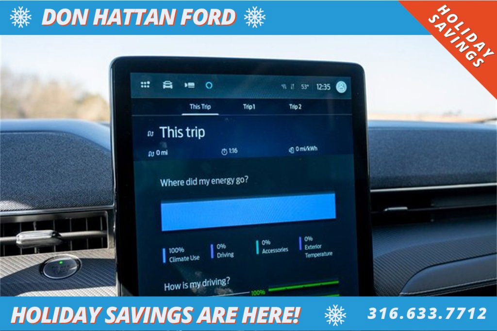 Used 2021 Ford Mustang Mach-E Premium image 9