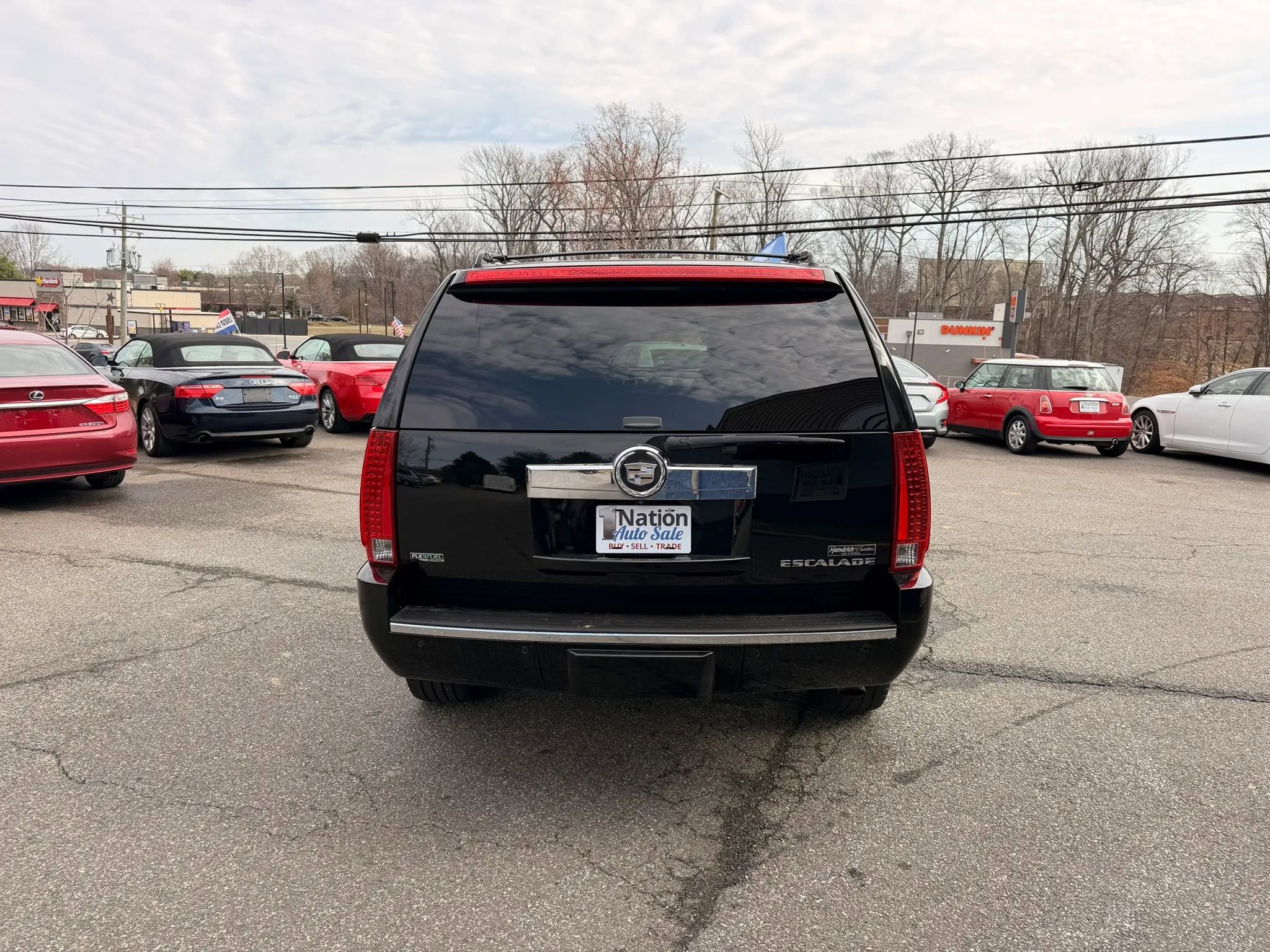 Used 2010 Cadillac Escalade Premium image 5