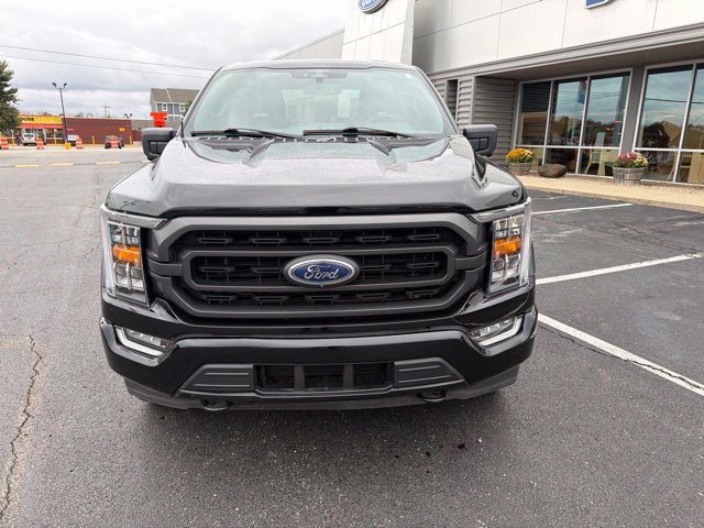 Used 2023 Ford F150 XLT w/ Equipment Group 302A High AWD/4WD image 3