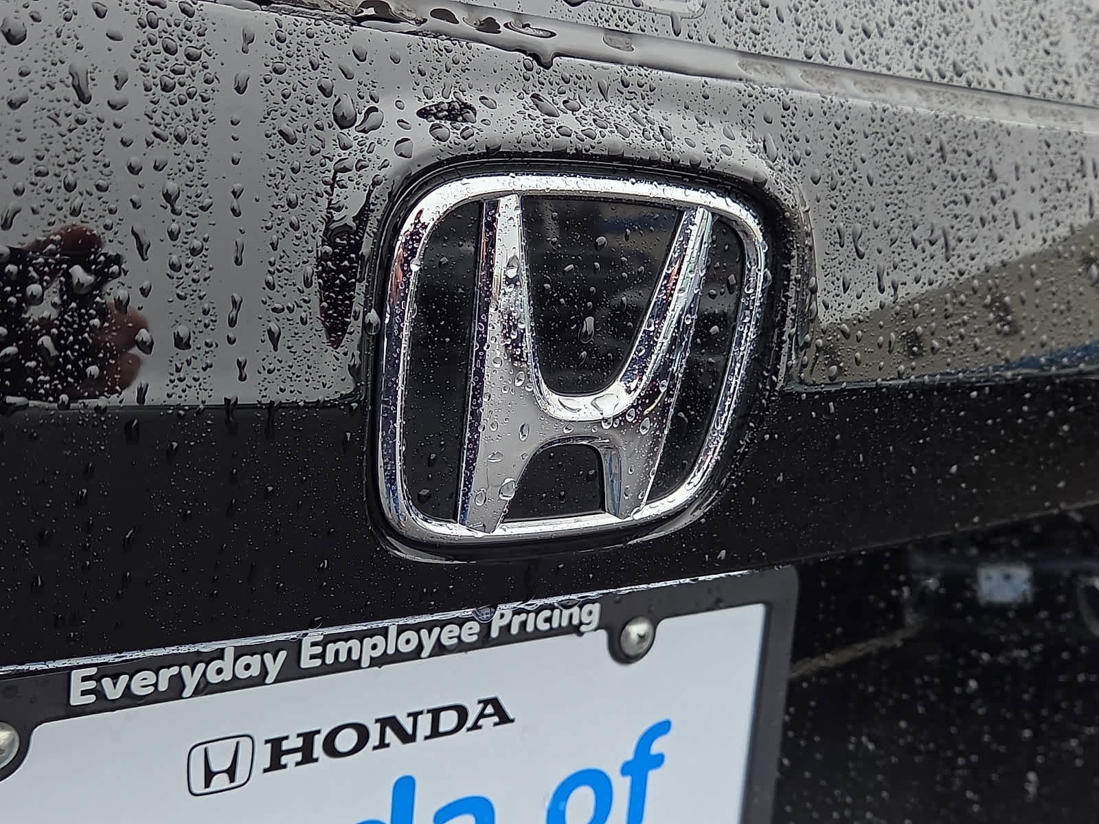 Certified 2025 Honda CR-V EX image 30