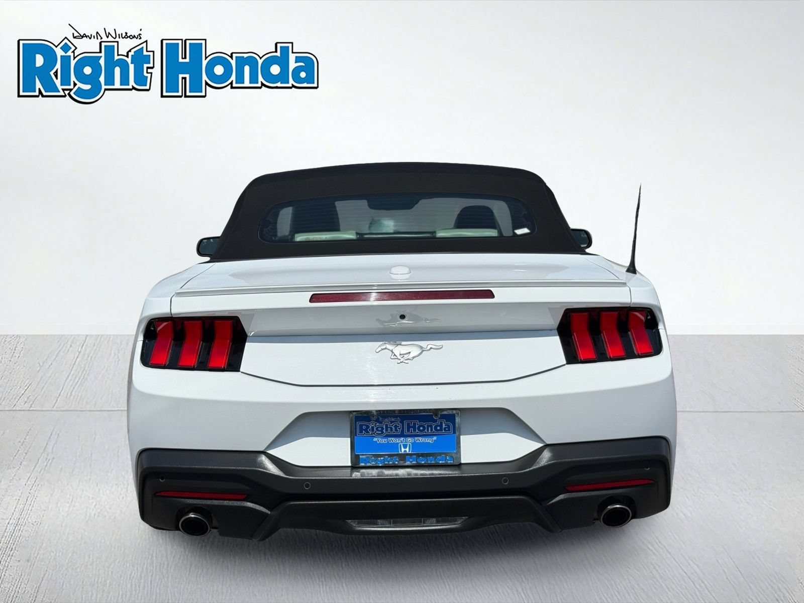Used 2024 Ford Mustang Premium RWD image 7