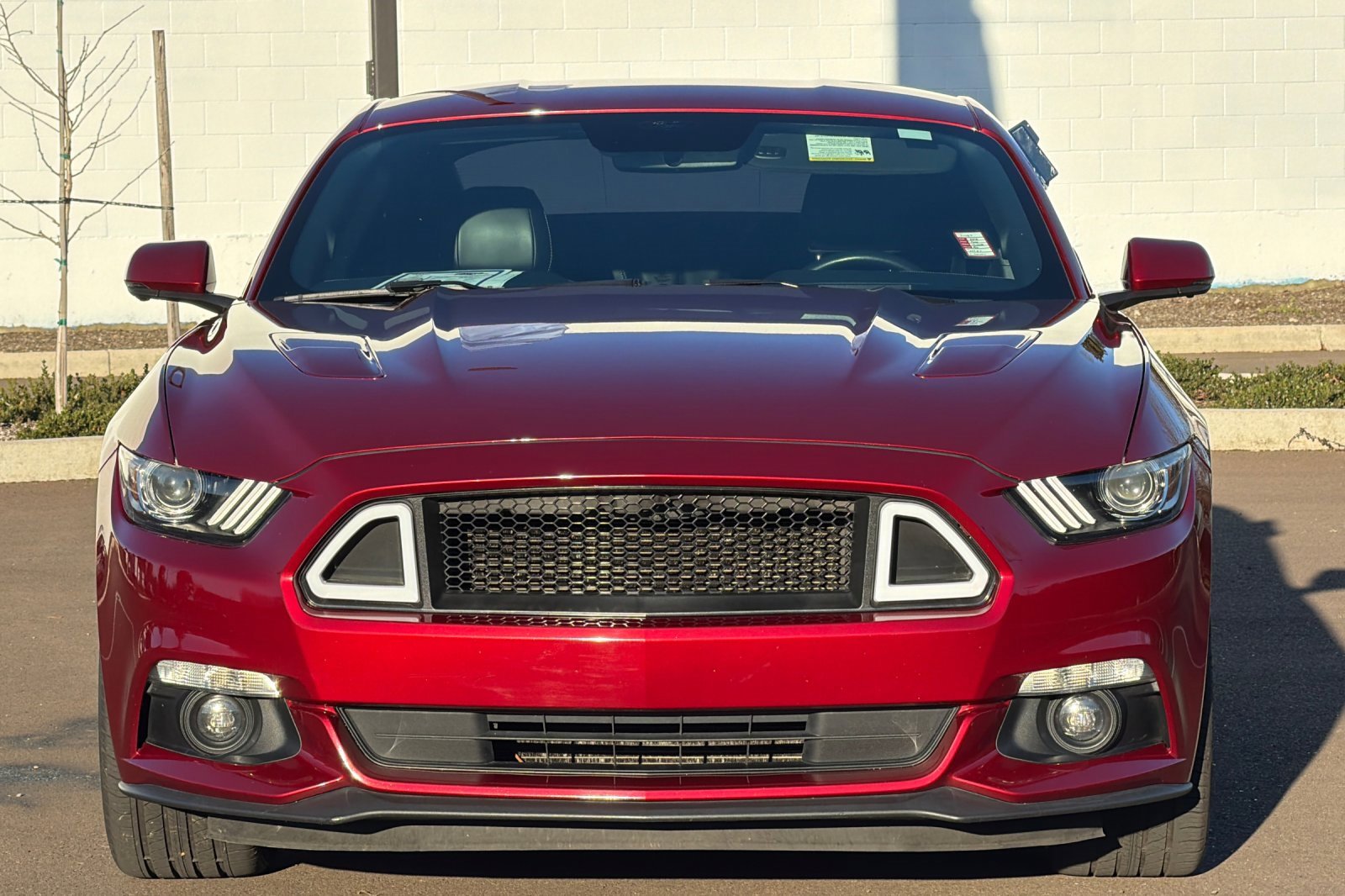 Used 2016 Ford Mustang GT Premium w/ Equipment Group 401A image 9