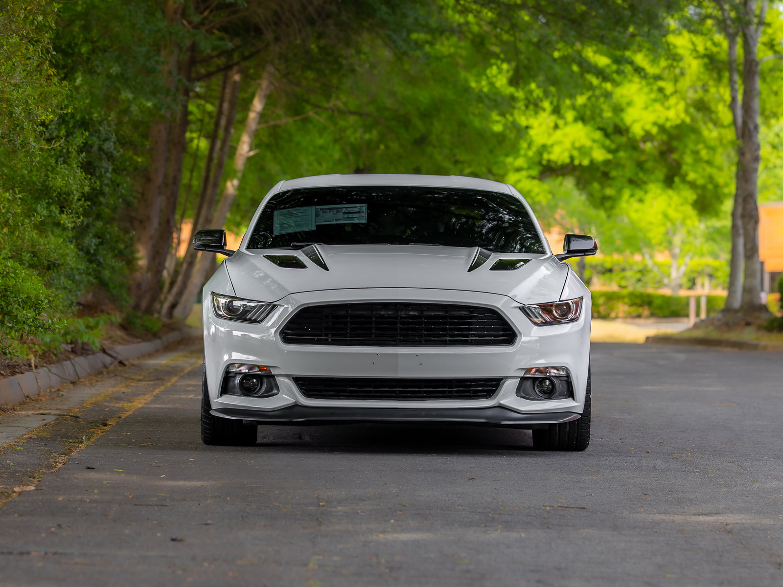 Used 2017 Ford Mustang GT Premium w/ Equipment Group 401A RWD image 33