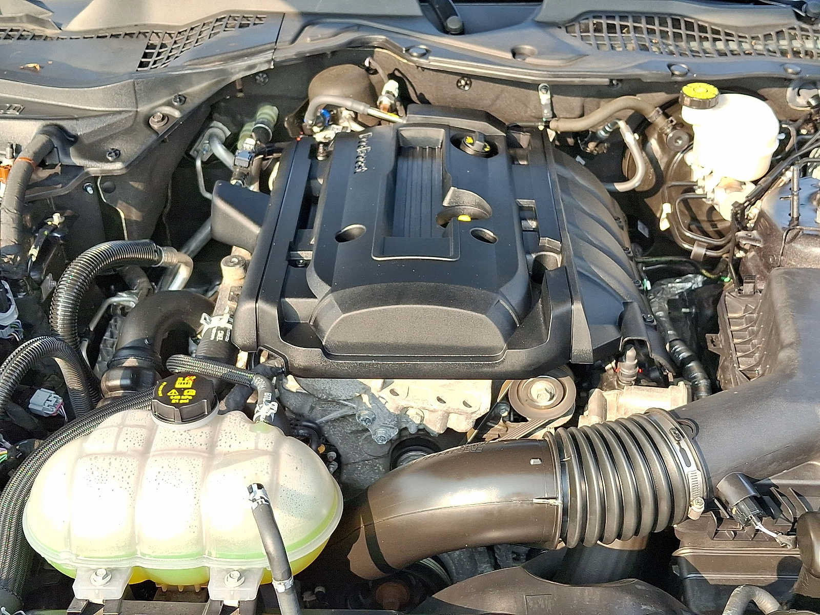 Used 2020 Ford Mustang Coupe w/ Equipment Group 101A RWD image 30