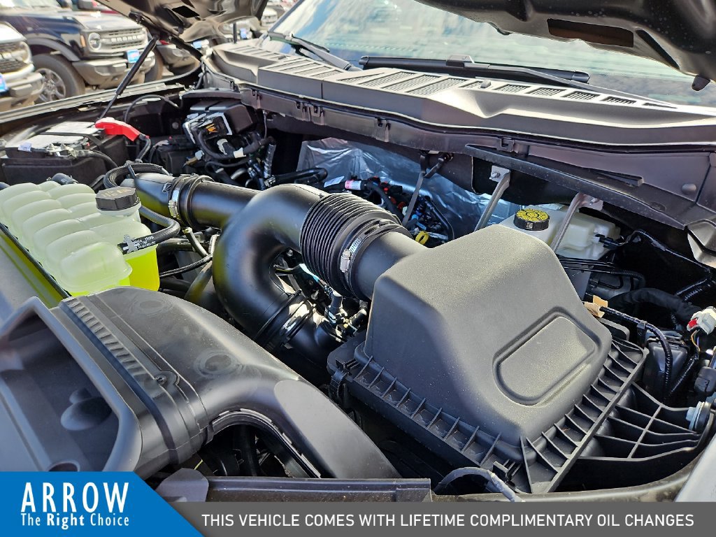 New 2026 Ford F150 STX w/ Equipment Group 200A RWD image 15