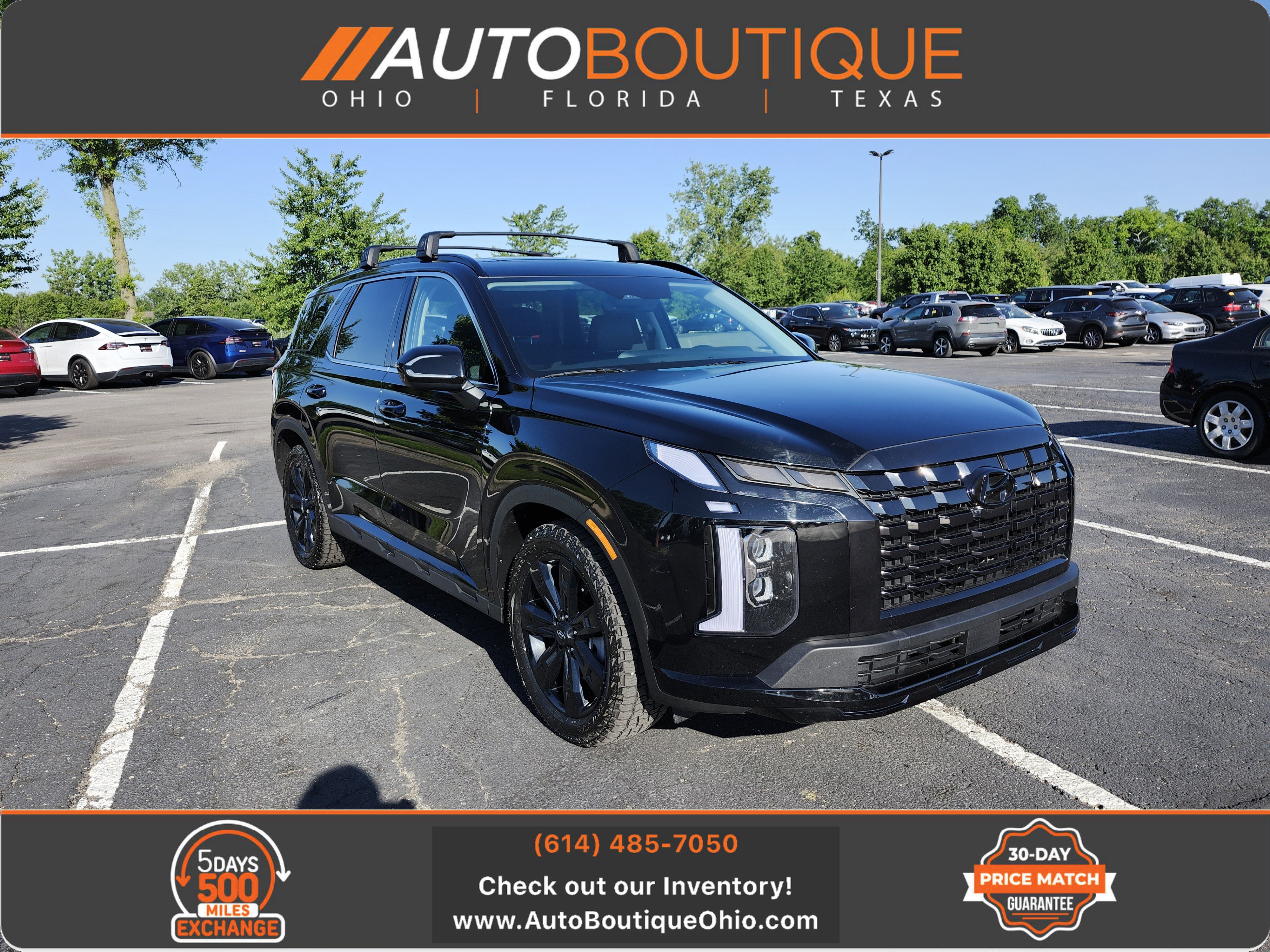 Used 2024 Hyundai Palisade XRT AWD/4WD image 1