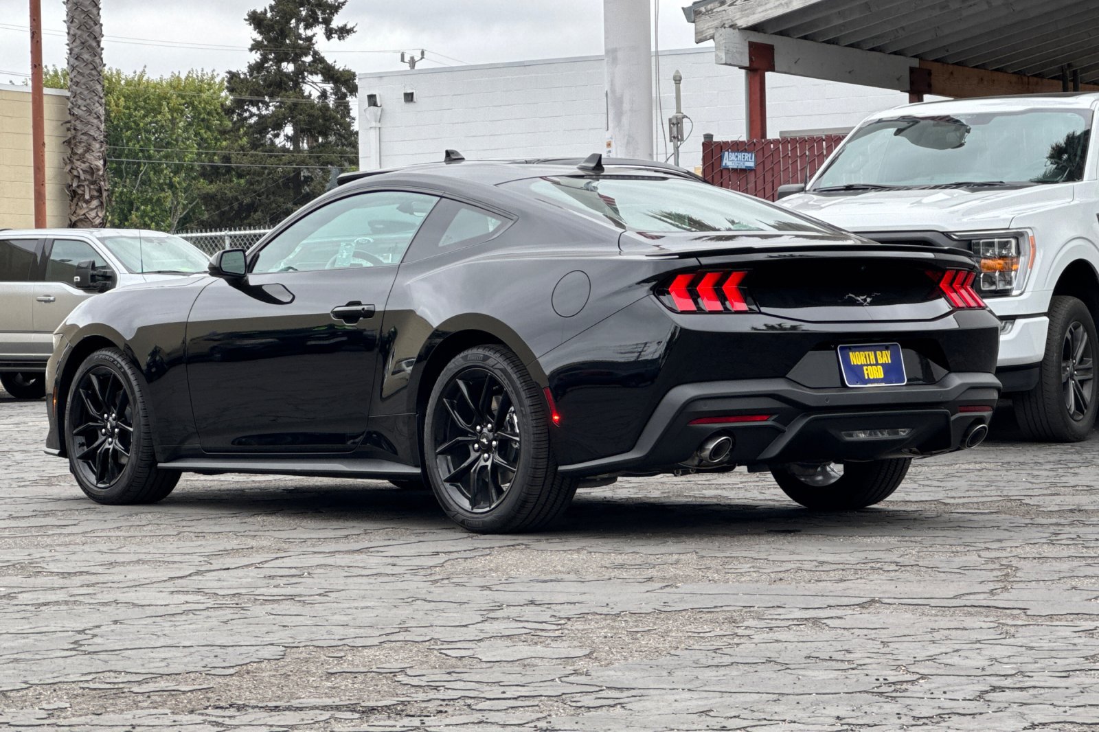 New 2026 Ford Mustang Premium w/ Mustang Nite Pony Package RWD image 6