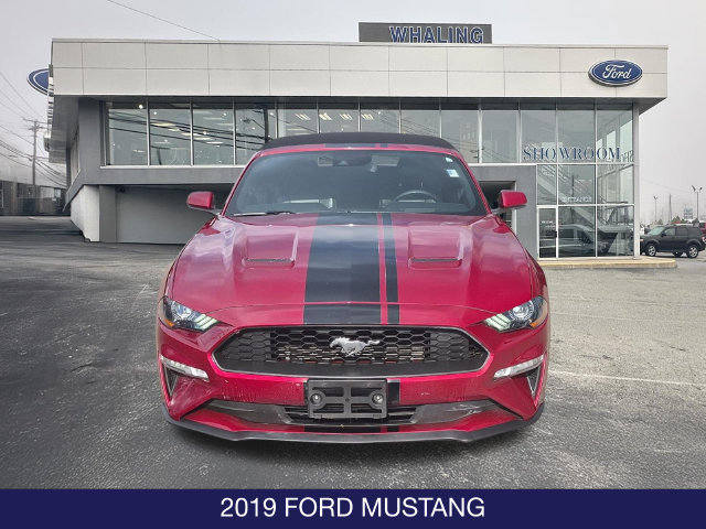 Used 2019 Ford Mustang Premium w/ Ecoboost Performance Package RWD image 2