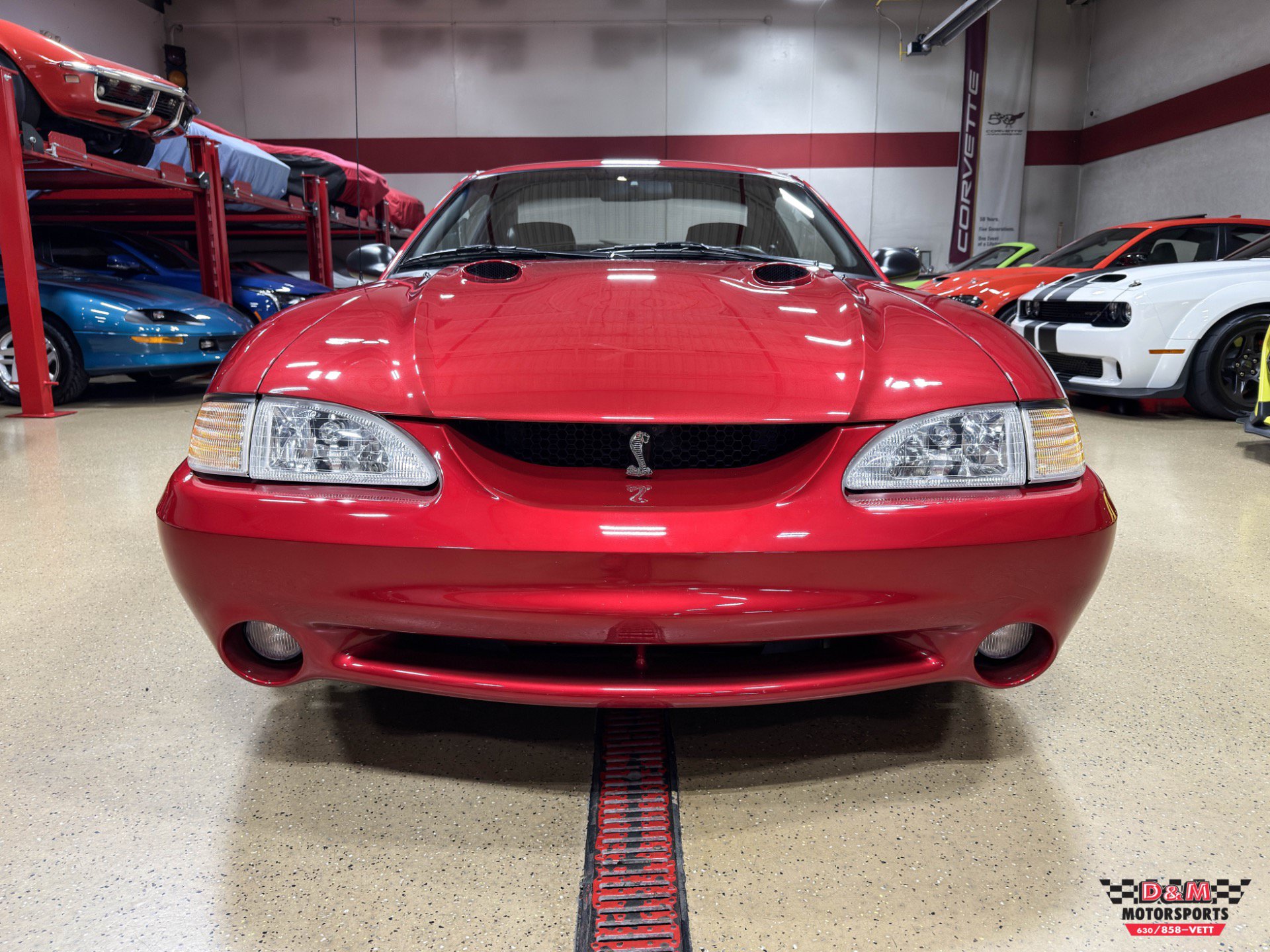 Used 1996 Ford Mustang Cobra RWD image 8