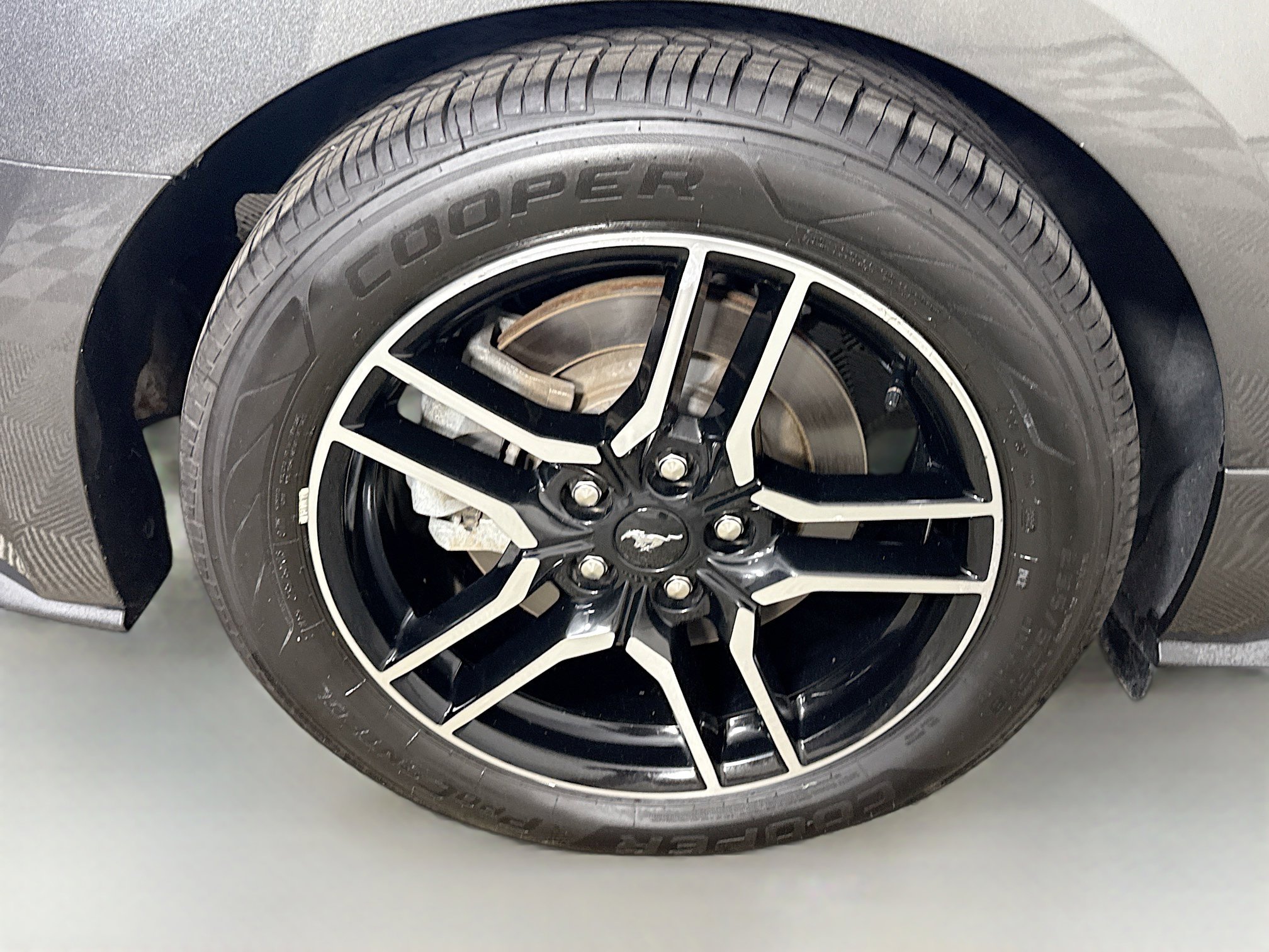 Used 2019 Ford Mustang GT w/ Equipment Group 301A RWD image 31