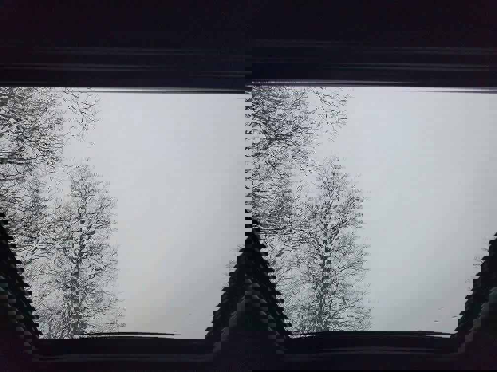 New 2026 Subaru Forester Sport image 31