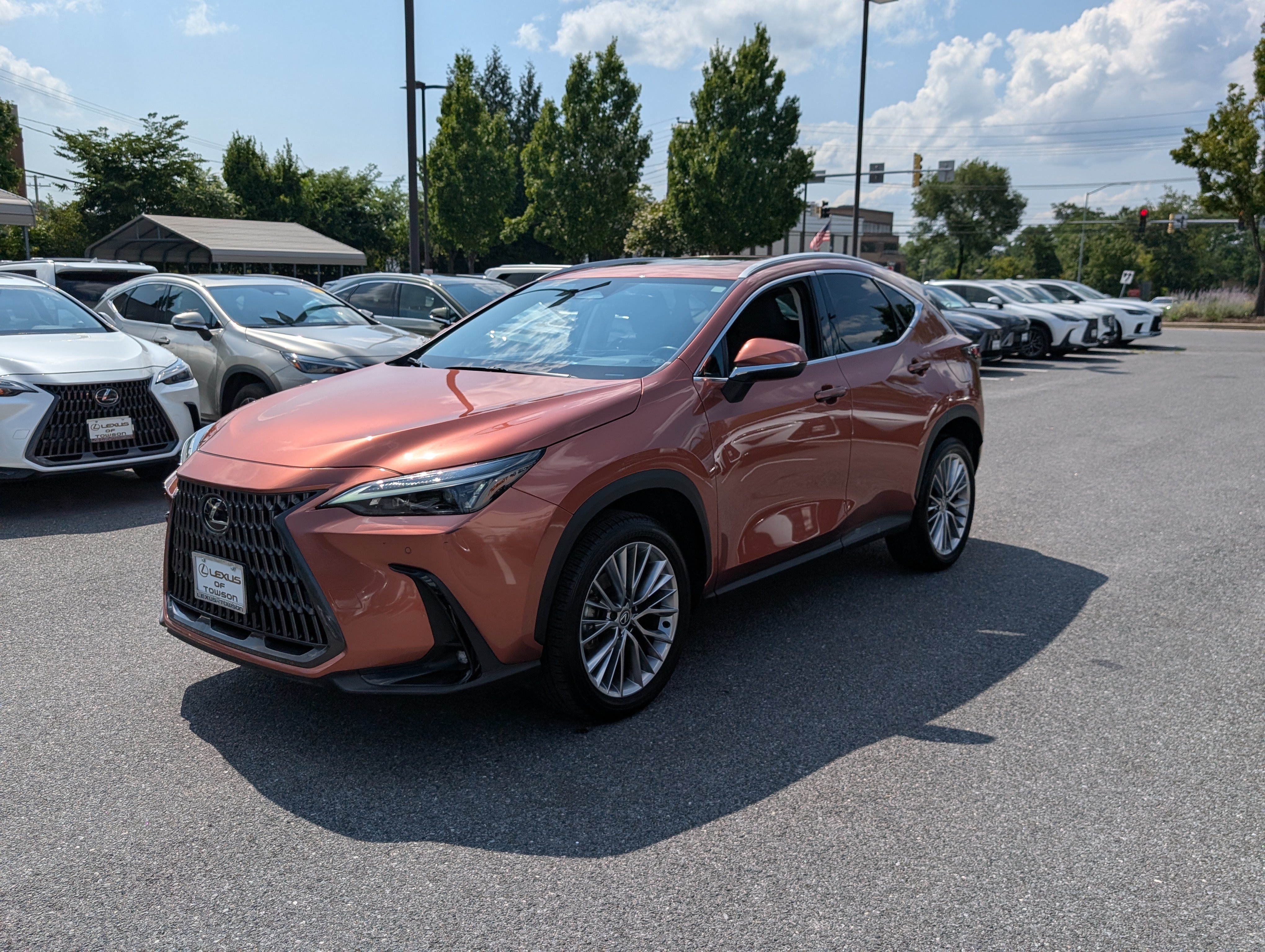 Certified 2025 Lexus NX 350h AWD w/ Cold Area Package image 7