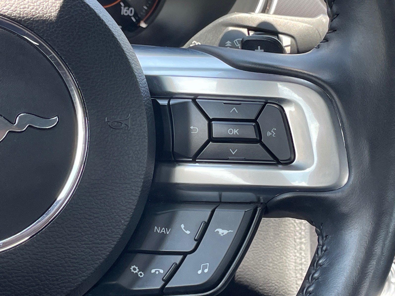 Used 2019 Ford Mustang Premium w/ Equipment Group 201A RWD image 13