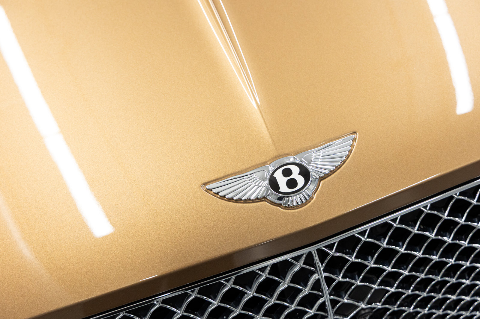 Used 2023 Bentley Continental GT Azure AWD/4WD image 10
