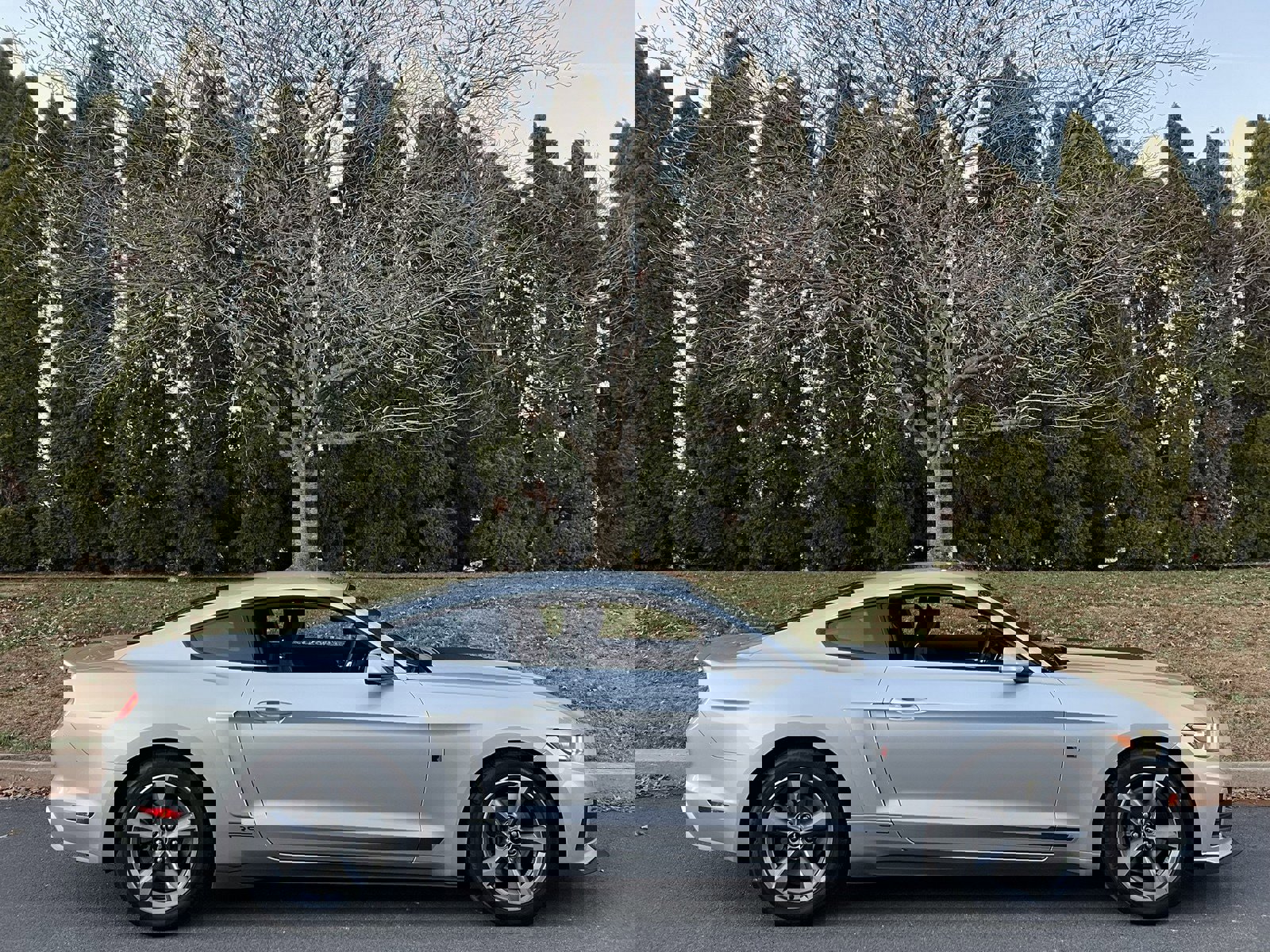 Used 2015 Ford Mustang Coupe w/ Equipment Group 051A image 41