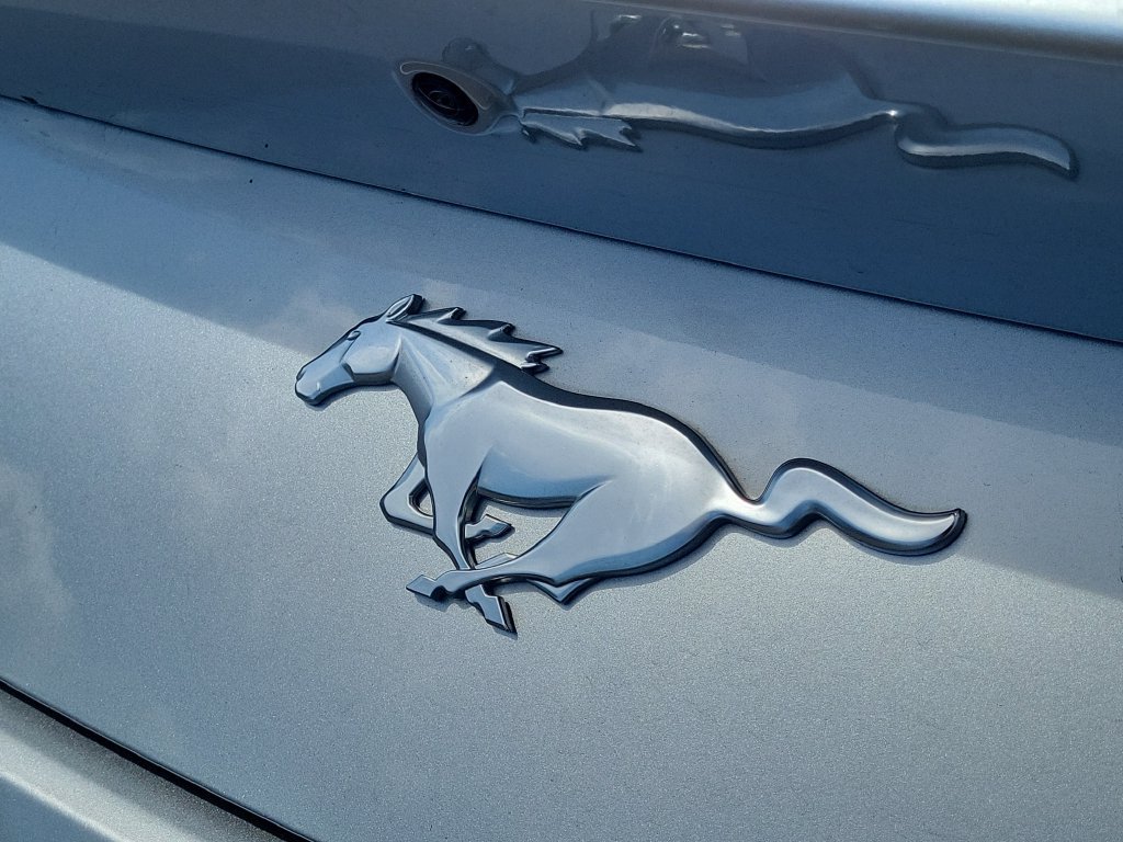 Used 2024 Ford Mustang Premium RWD image 8